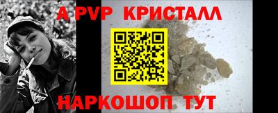 дурь Кингисепп