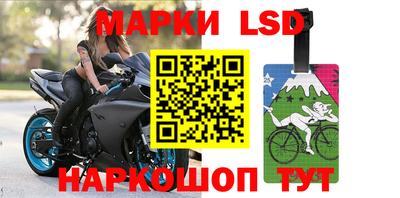 дурь Кингисепп