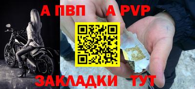 стаф Кинель