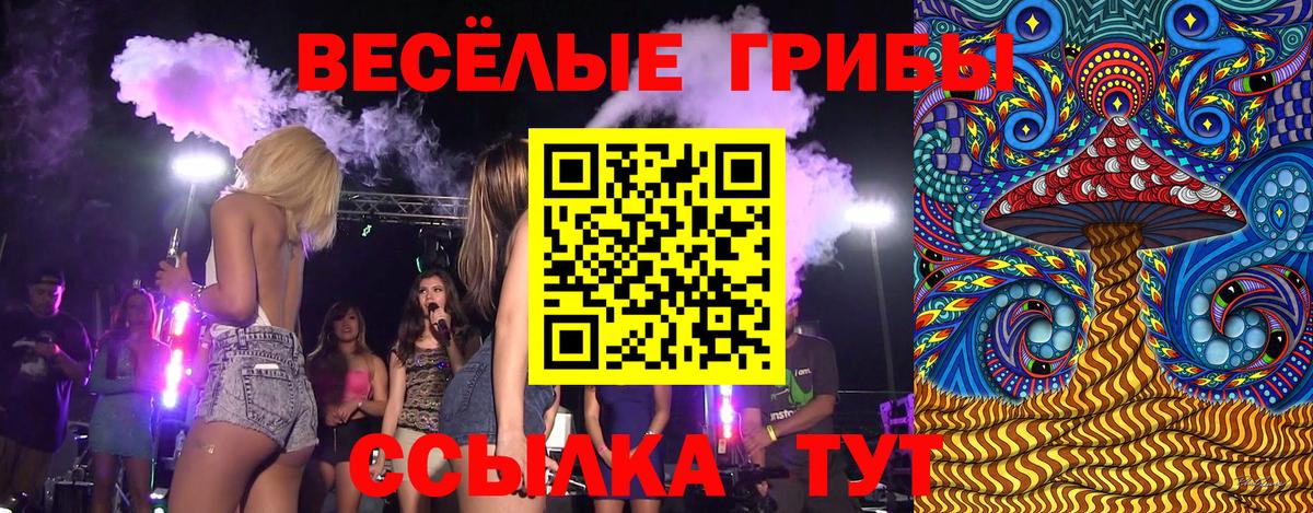 Галлюциногенные грибы Cubensis Краснодар