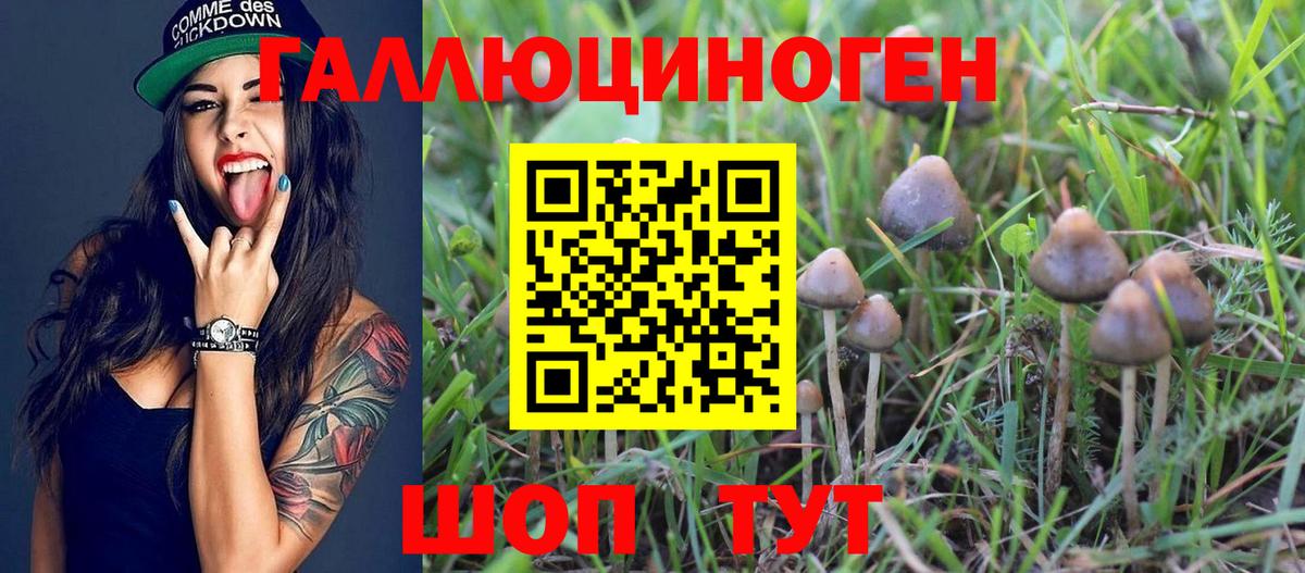 Псилоцибиновые грибы прущие грибы  Вход с VPN  Краснодар 